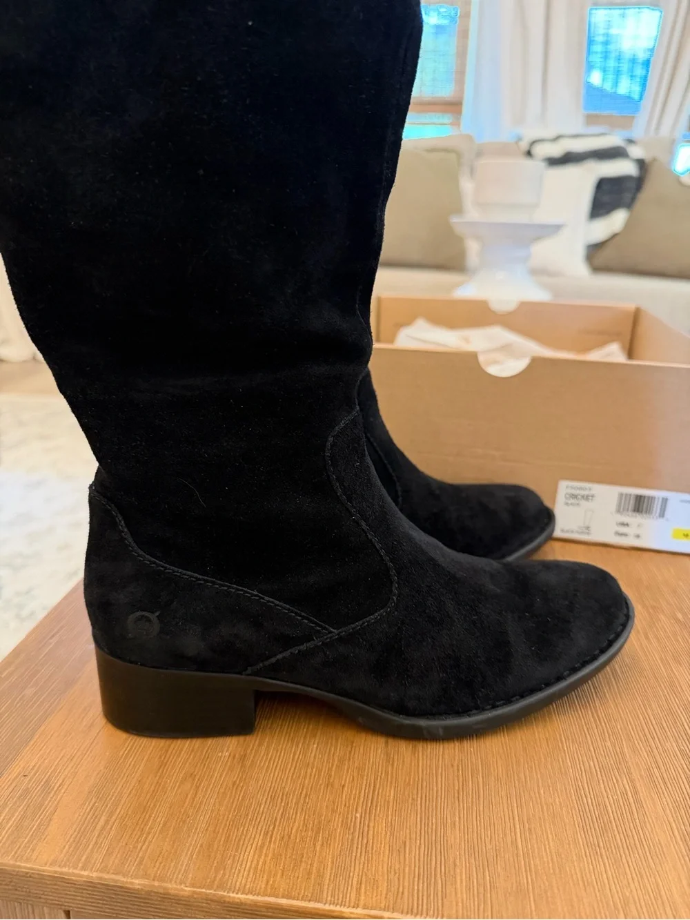 Born Black Suede Over-the-Knee Boots